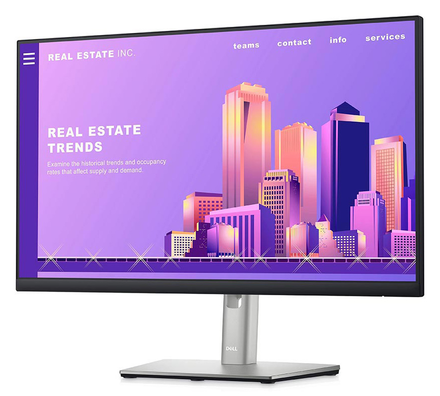 DELL οθόνη P2422H IPS-LED, 23.8